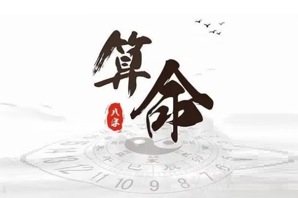 12十二生肖图片大全_十二生肖图鉴精选