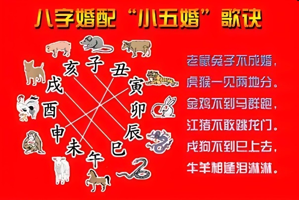 12生肖多少岁_生肖年龄解读图片