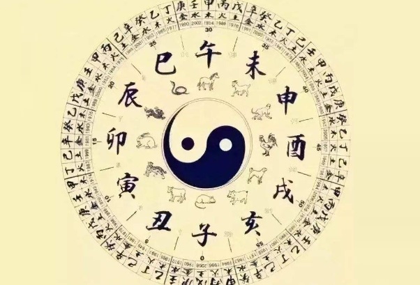 40多岁女人梦见抓鱼好不好图片