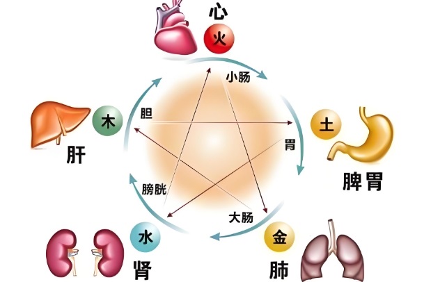 12生肖配对表图片