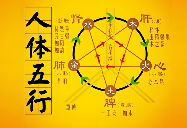 12生肖运势图片