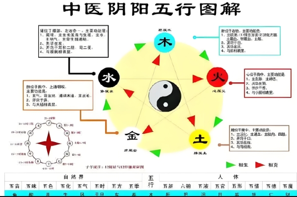 12生肖排列顺序表_生肖顺序解读