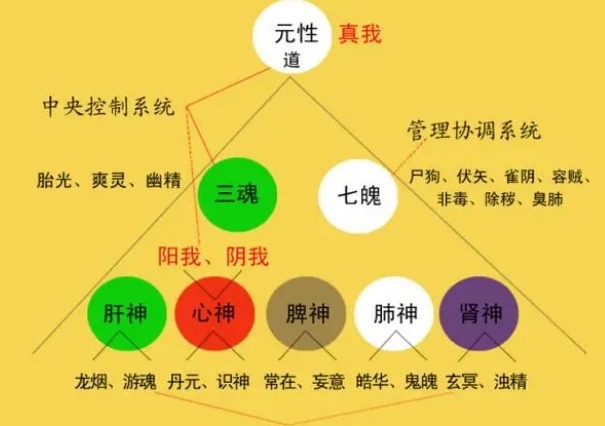 每日能量场