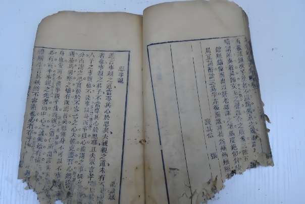 12生肖查询表图片