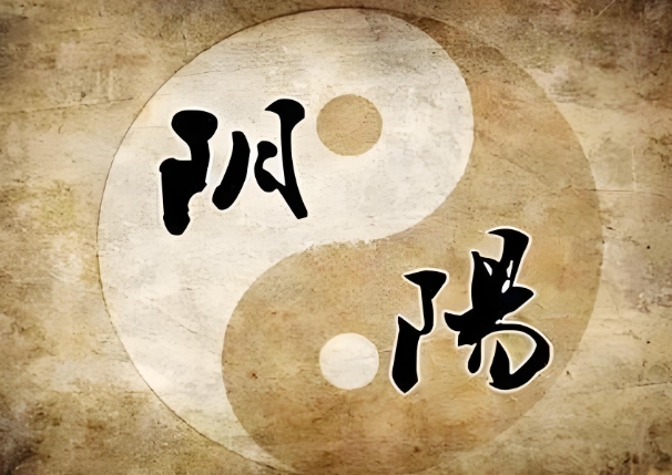 77年属蛇人今年运势_事业与感情运势
