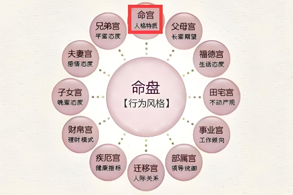 71年属什么生肖图片