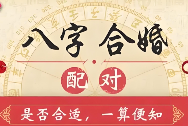 12生肖排行榜年龄_年龄排行全览