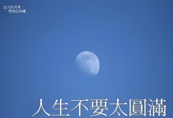 八字十神解析