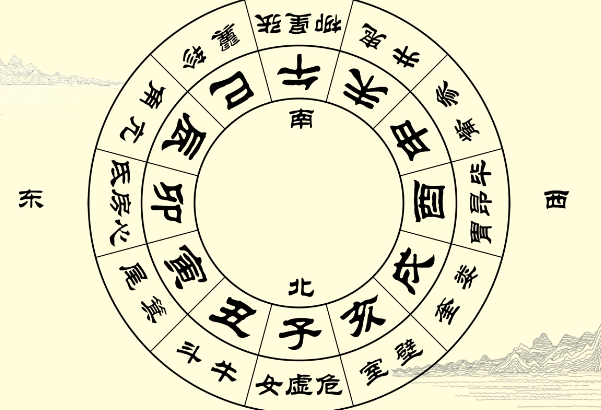 40岁女人梦见蛇好不好图片