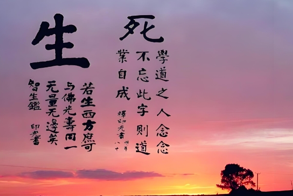 72年属鼠49岁有一灾_化危为机图片