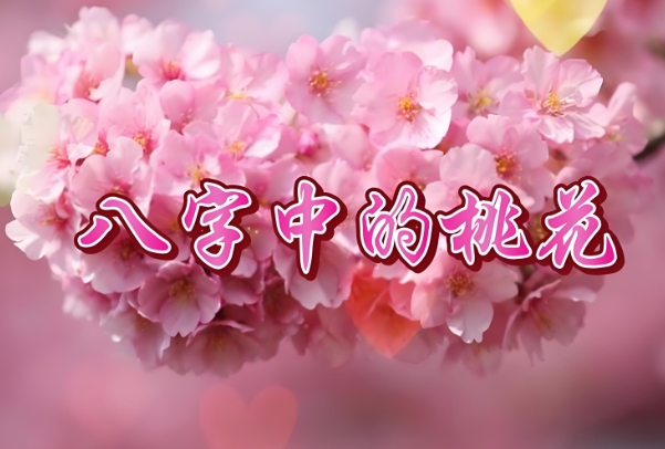 8字看婚姻免费算图片