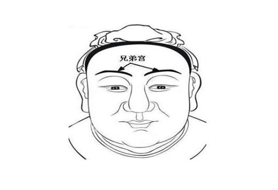 63年兔女晚年靠谁_晚年依靠谁图片