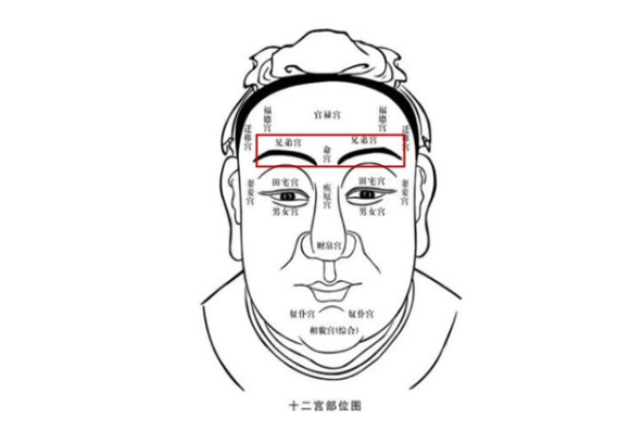 12属相婚姻配对大全图片