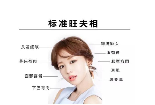 69年属什么生肖_属鸡运势简析图片