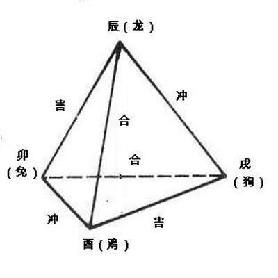 12生肖的口诀怎么背_轻松记忆法图片