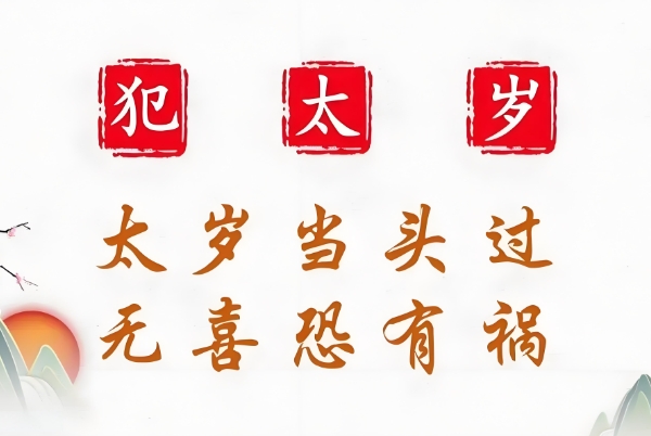 12生肖属相表