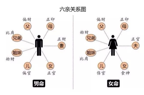 女士运势