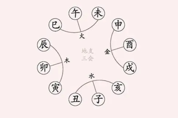 12十二生肖配对表图片