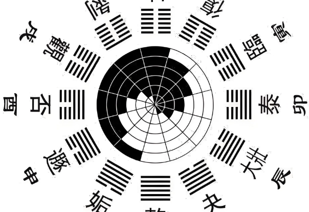 40岁女人梦到掉一大缕头发图片