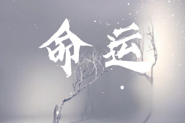12生肖排行榜12生肖排行表