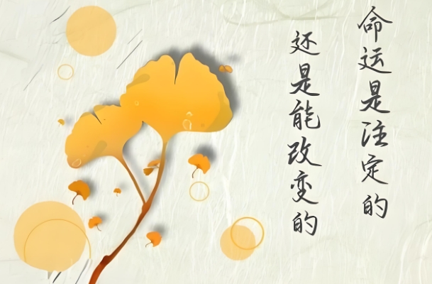 87年兔2024年必有一难_转危为机指南图片