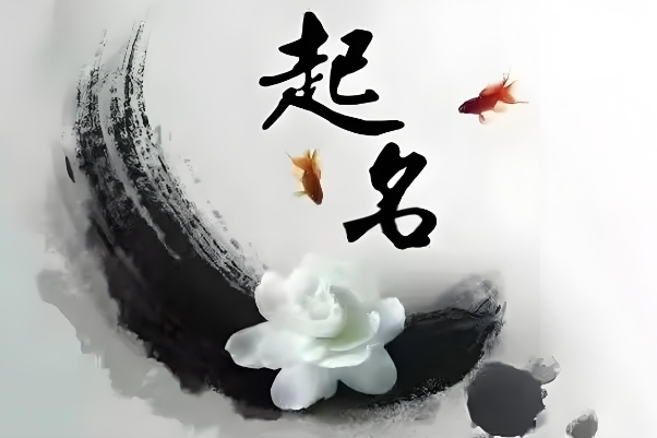 12生肖图片大全真实_真实图集欣赏