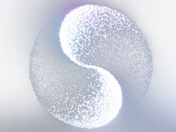 12生肖排行榜年龄_年龄排行全览