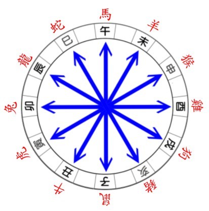 50岁女人掉牙是吉兆