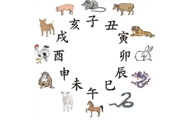 12生肖与婚配_婚配全解析