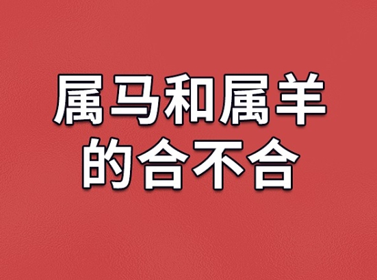 10岁小男孩驾车游玩图片