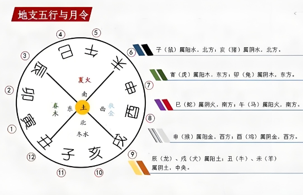 87年女兔后半生苦吗_后半生论图片