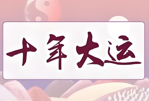 10岁小男孩驾车游玩