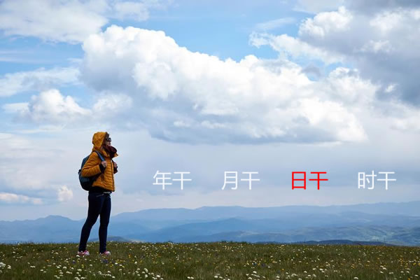 核心稳定性