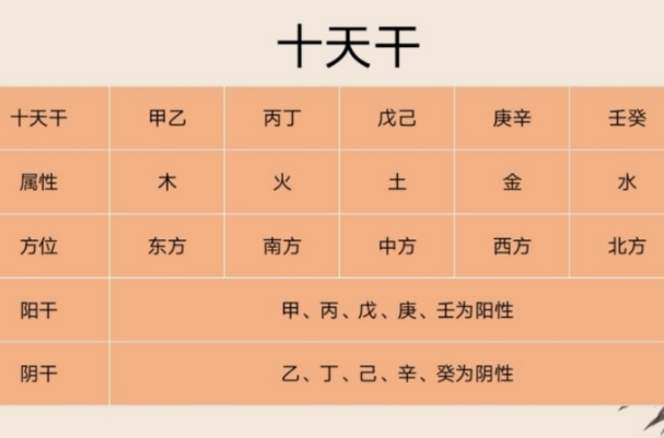 50岁了60还梦见自己考上大学_迟来的大学梦图片